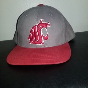 Washington state cougars hat